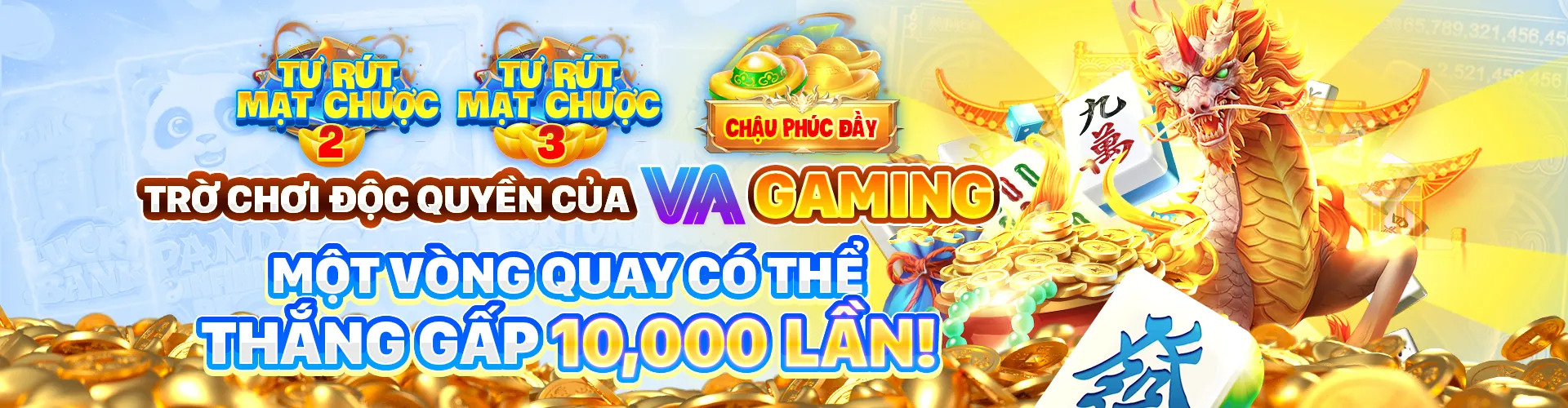 Chính sách Quyền Riêng Tư của tải vnz6