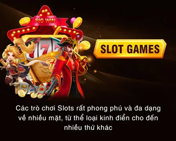 Đa dạng trò chơi vnz6